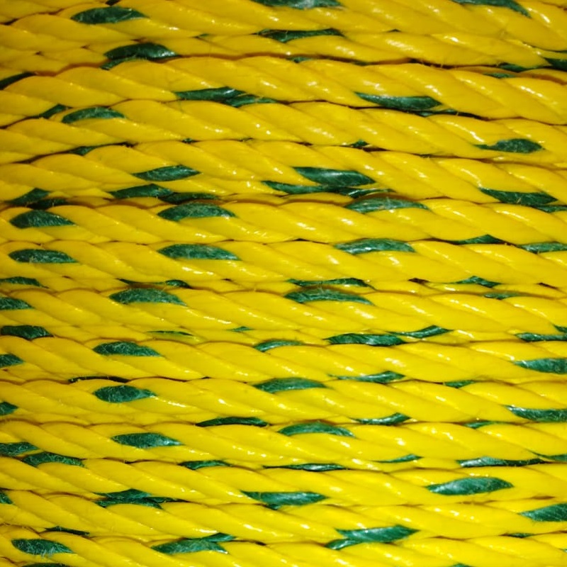 Soga Manila Golden #5